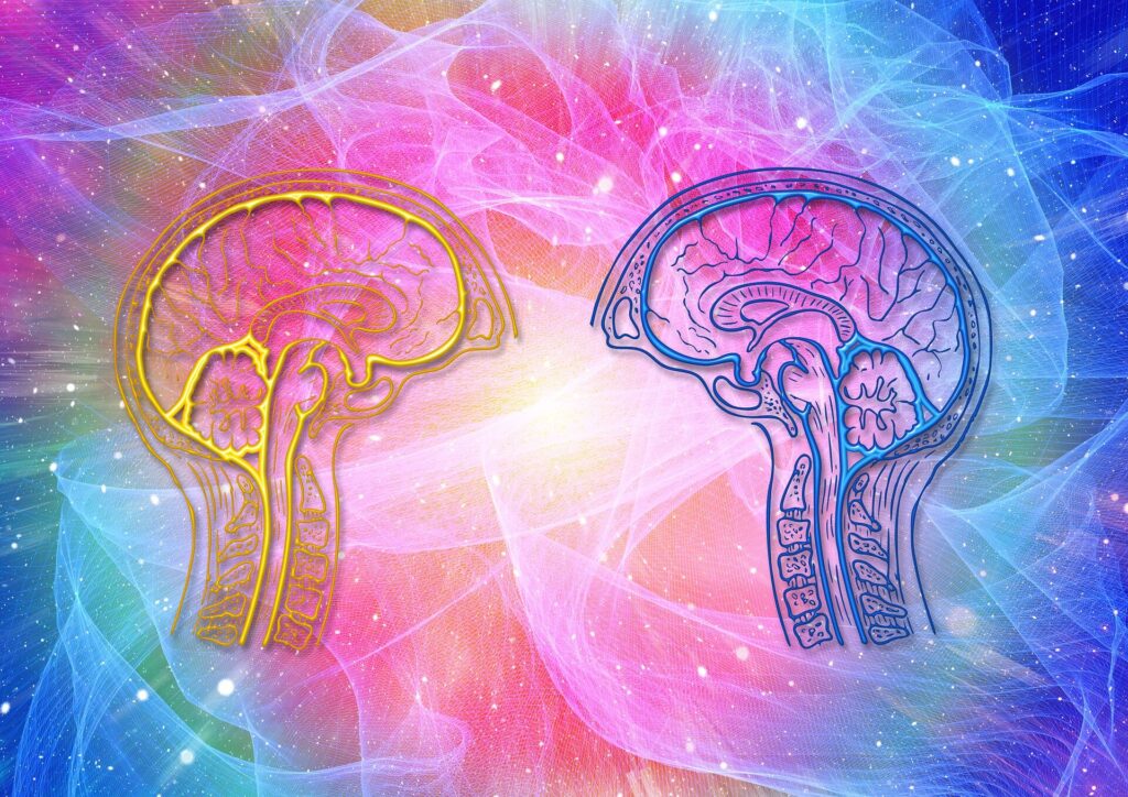 brain waves