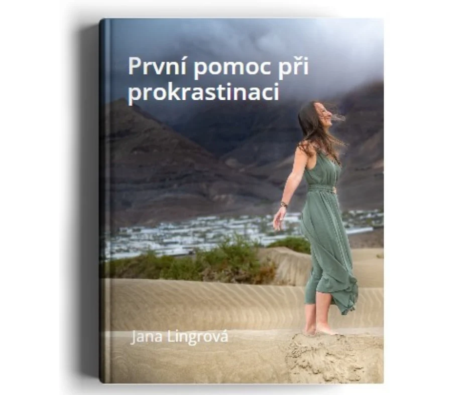 Prvni pomoc pri prokrastinaci ebook